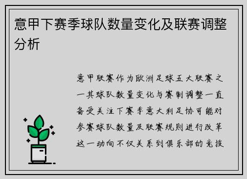 意甲下赛季球队数量变化及联赛调整分析